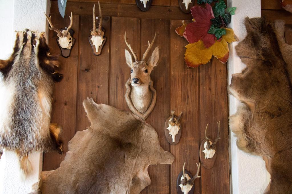 Hotel Rischli Sörenberg エクステリア 写真